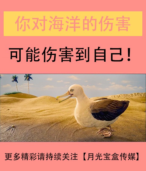 你对海洋的伤害，可能会伤害到自己！